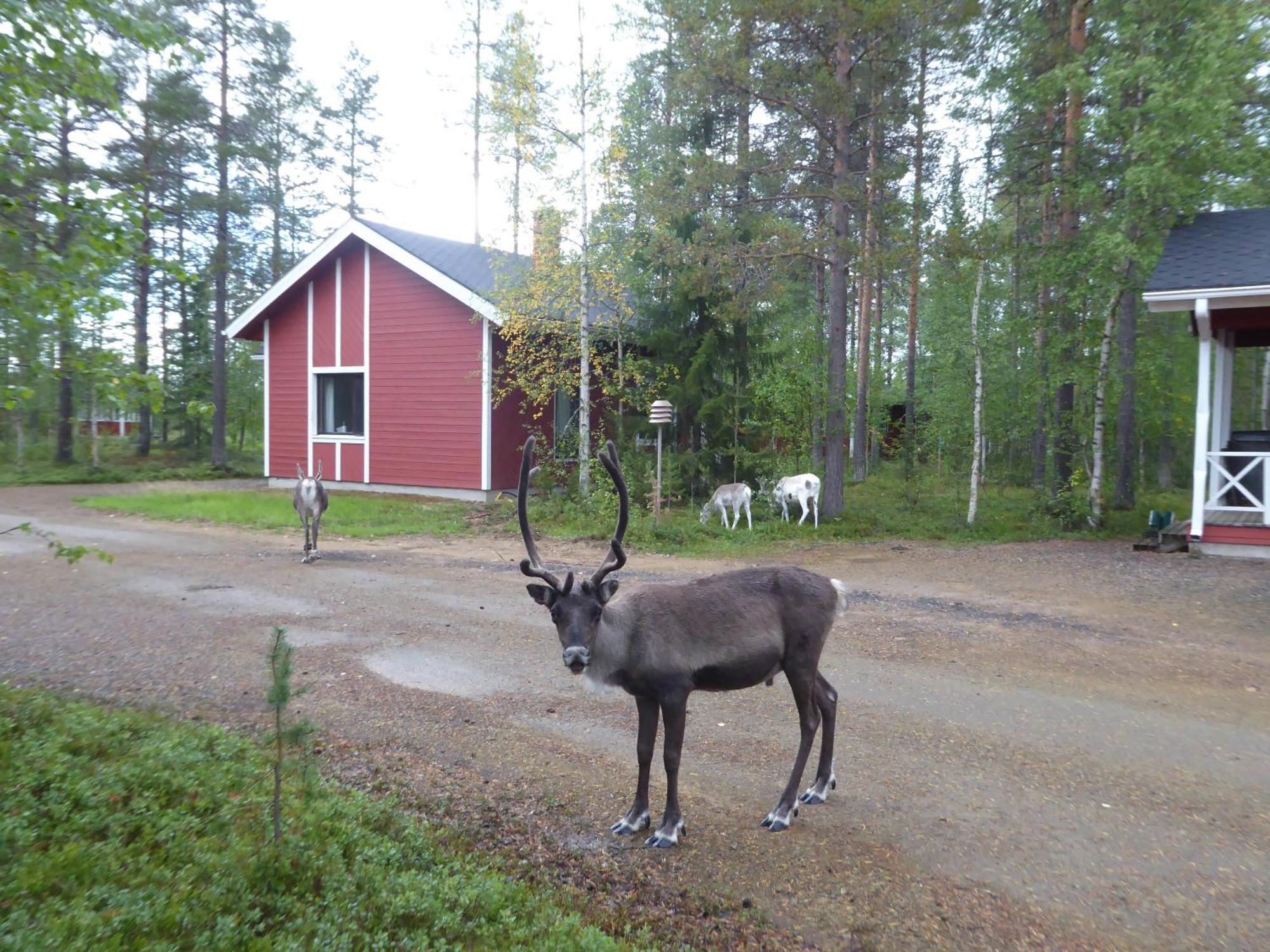 Villa Maentymajat Äkäslompolo Camera foto